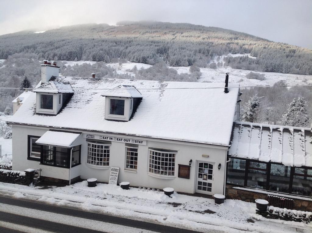 The Golden Larches Bed & Breakfast Lochearnhead Dış mekan fotoğraf